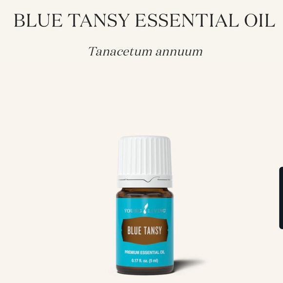 Young Living Blue Tansy Essential Oil 5ml - Picture 1 of 2